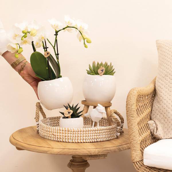 Blumentopf Bowl – Weiß – Keramik – Ziertopf Ø9cm – Handgefertigter Übertopf mit Wellenrand – Für Zimmerpflanzen & Sukkulenten