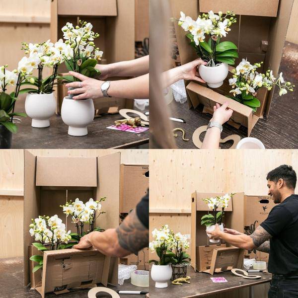 Blumentopf Bowl – Weiß – Keramik – Ziertopf Ø9cm – Handgefertigter Übertopf mit Wellenrand – Für Zimmerpflanzen & Sukkulenten