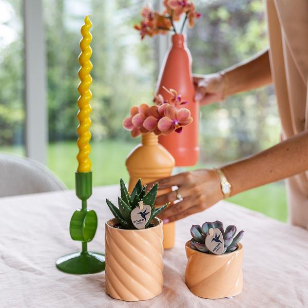 Dekotopf Candy – Pfirsich – Ø6cm – Farbiger Keramik Blumentopf in glänzender Optik – Runde Form – Für Mini-Pflanzen & Orchideen